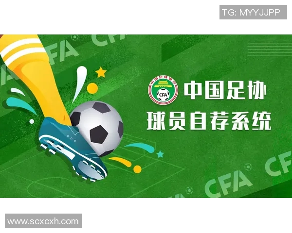 2002年中国足球球星排名解析与当年表现回顾